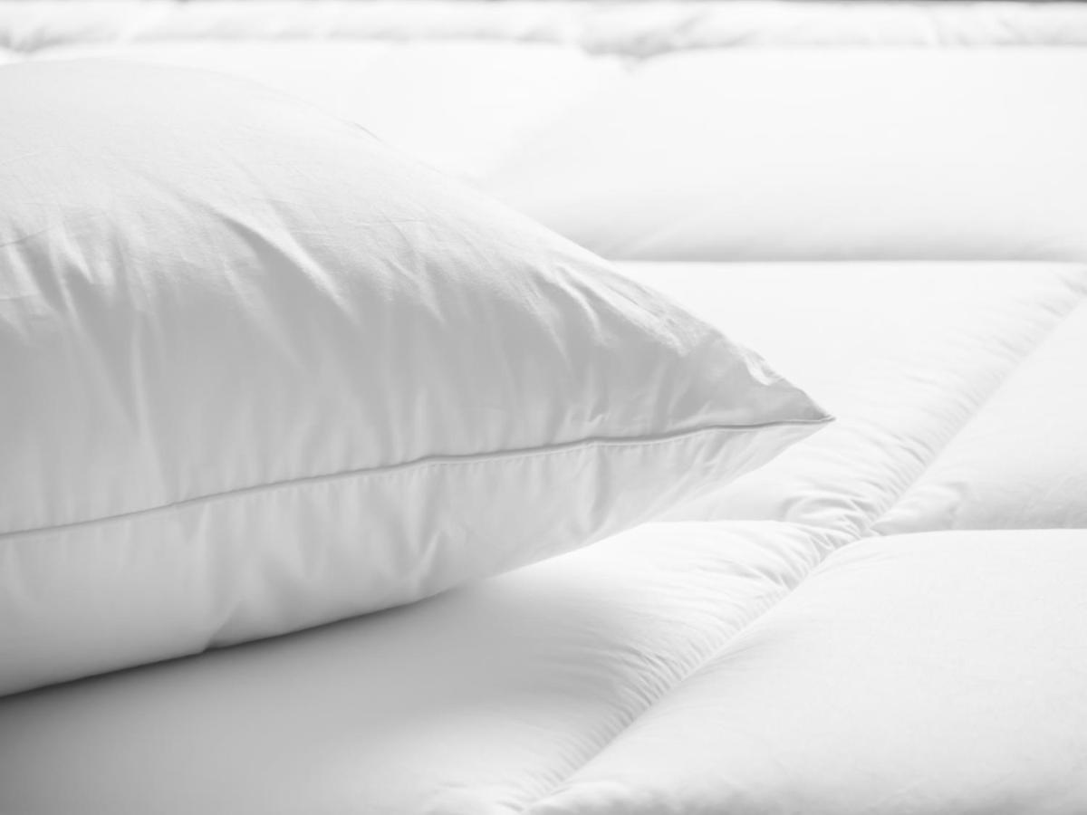 Hotel Courtyard By Marriott Dallas At Event Center